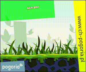 ilustrujący projekt banera reklamowego przygotowanego pod kampanie reklamowej Google ads